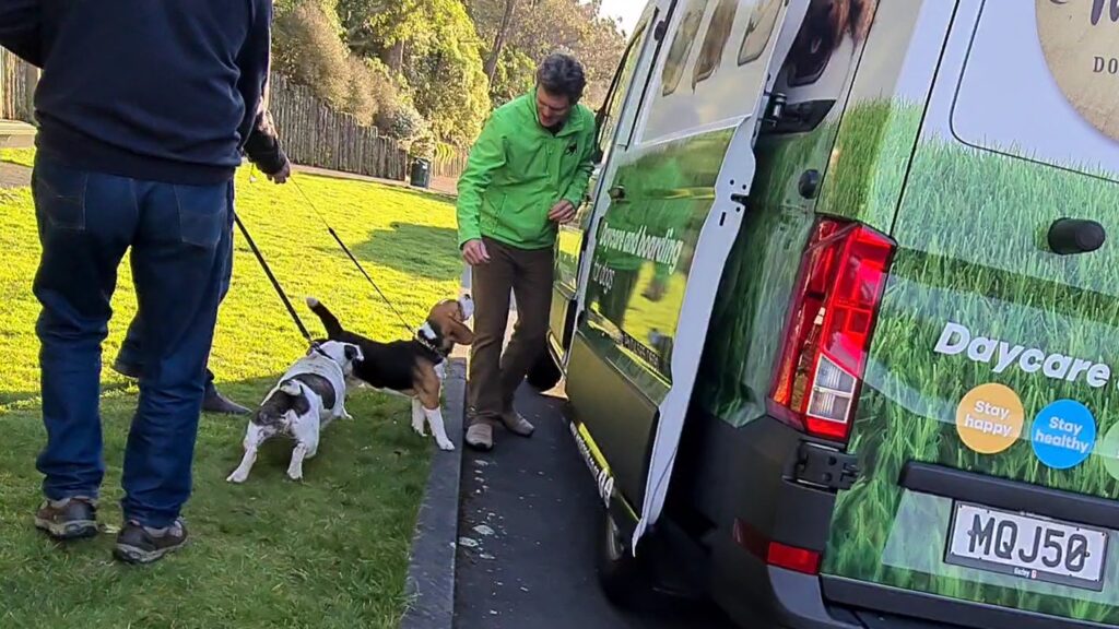 Showing dogs being greeted at the waglands van